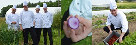 UNH dining chefs at the UNH high tunnels